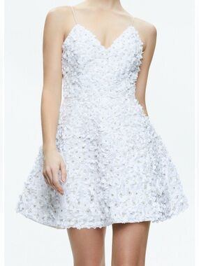 Alice & Olivia Domenica Embellished Mini Gown